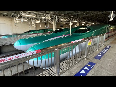 動画