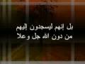 511,الامارات,البحرين