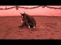 20090105212109