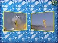 Lior Zahavi Katana 36%