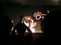 juggling-on-top-of-a-ball-flying-cat-circus.html