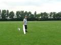 Fling Dl Glider