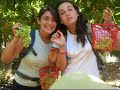Sacramento USYers in Israel