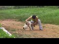 Sitio Vale Para�so - Areia - Pb