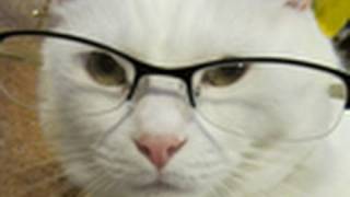 -qPGHn4iHKk