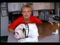 Cat&Jack - Still Silent and Calm | Education Videos,education-videos free online video