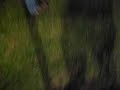 Drunk-Woman-vs-50-Ca