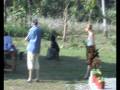 Chilling at Bongo Camping (Tukuyu in Mbeya, Tanzania)