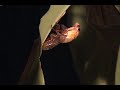 Cicada Morphing from Shell to Life Cicada Morphing from Shell to Life