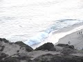 Point Dume Malibu