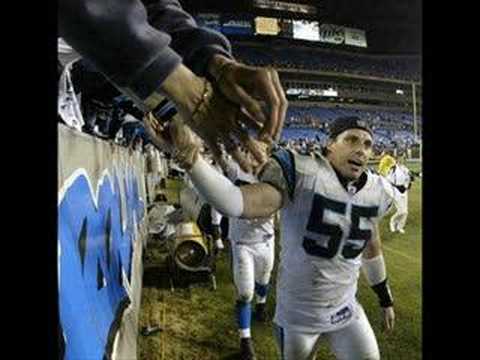 dan morgan of the carolina panthers
