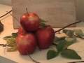 PAINTING APPLES-INSTRUCTIONAL DVD CLIP HALL GROAT II