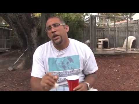 how to remove a tick