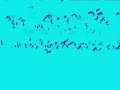 Sweet Perfection By Never Shout Never Lyrics