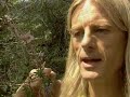Herbal Remedies From The Australian Bush