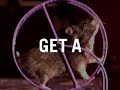 Reality Check - Stop the Spin