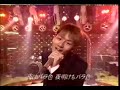 kat tun sp live