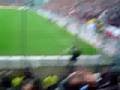 HJF DEN HAAG HOOLIGANS