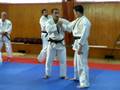 videos de Judo seminar Coaching Canada (Fardin Aghaei )