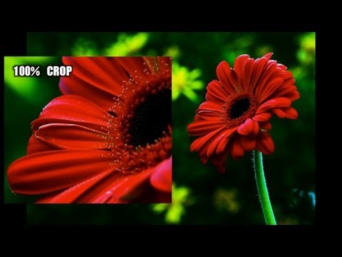 Olympus PEN E-P5 Still Photo and Video Performance Tests