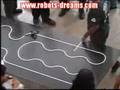 MINIROBOTICA-2006
