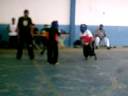 kung fu palma de a�o 31