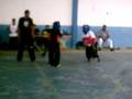 kung fu palma de aço 31
