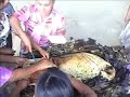zacahuil