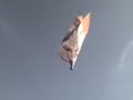 Truff 12 metros - Korais, Humilde na arte e Pega Leve Truff 12 metros - Korais, Humilde na arte e Pega Leve