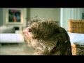Friskies Does the "Wet Dog" Shake in Dog Dissing Ad