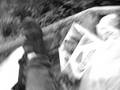 powell river 4x4