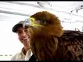 British School of Falconry