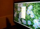 Ubuntu Hardy Heron 8.04 Review