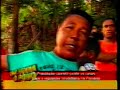 PDDU - Estão acabando com a Mata Atlântica na Av.Paralela