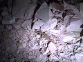 Skink 40ft underground in my opal mine in Koroit, Australia