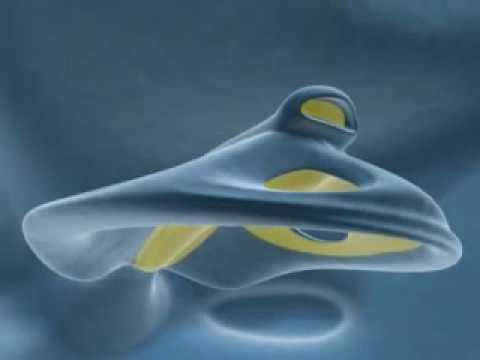 Arquitectura orgánica - La arquitectura del futuro Arquitectura orgánica - La arquitectura del futuro