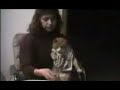 Petits chats