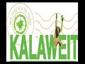 Clip Kalaweit Sumatra (Gibbon)