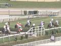 2009年3月29日 中山4R 障害未勝利 コスモラヴアゲイン