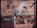 Moisés el Egipcio Moisés el Egipcio
