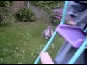 ALHV: Smokey and the Watering Can ALHV: Smokey and the Watering Can
