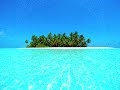 tranquility bass / hawk* - california dreaming (sampler 12