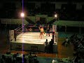 2°round luta do barata