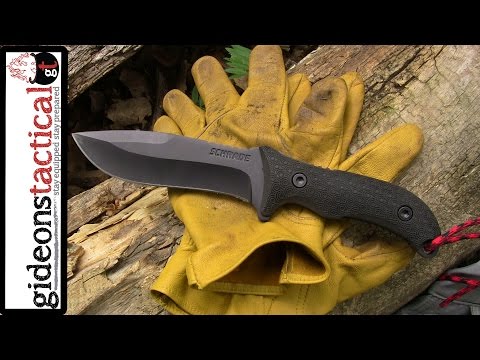 how to budget for everything