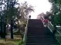 videos de ROACHOMANIAS CAPITULO 2