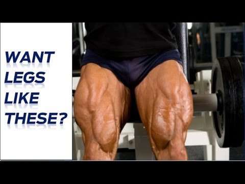how to define leg muscles