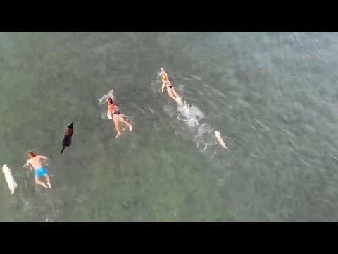 Hunde am Strand: Schwimmen, Bier trinken, und dann ein Eis