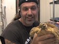 SnakeBytesTV-snakes we haven't shown you before!