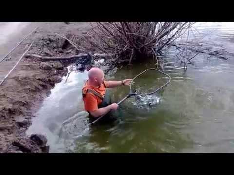 алимовский плес рыболовная алимовский плес рыболовная
