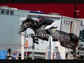 Copa de la jumping Copa de la jumping